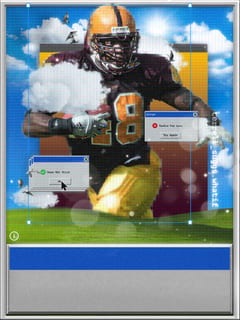 Terrell Suggs